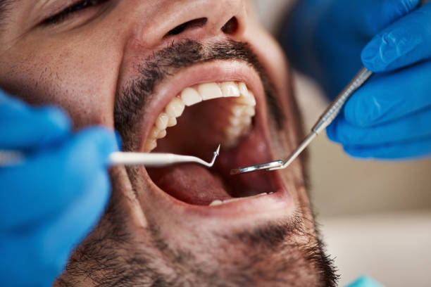 Best Preventive Dentistry  in Fern Prairie, WA